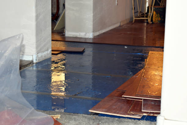 Professional Sewage Cleanup technician working in Trenton, OH